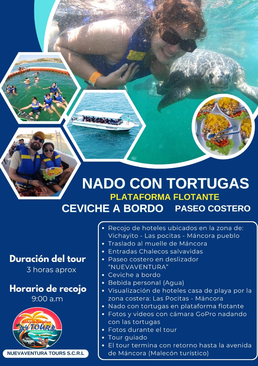 Nado con Tortugas