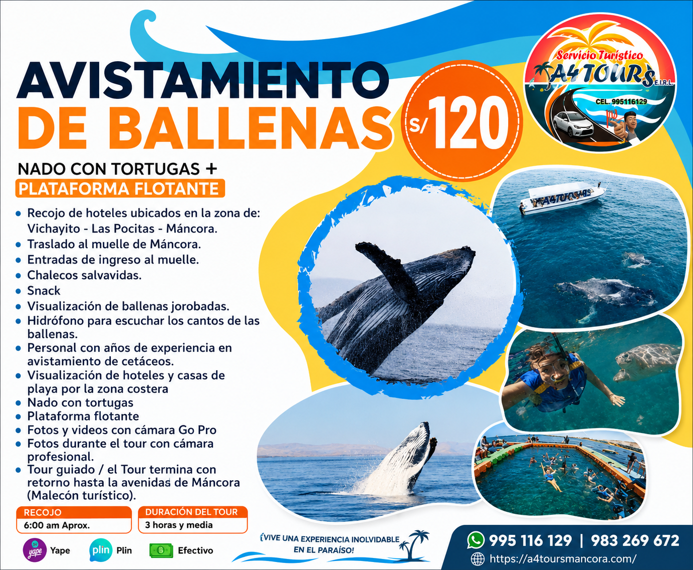 Avistamiento de Ballenas